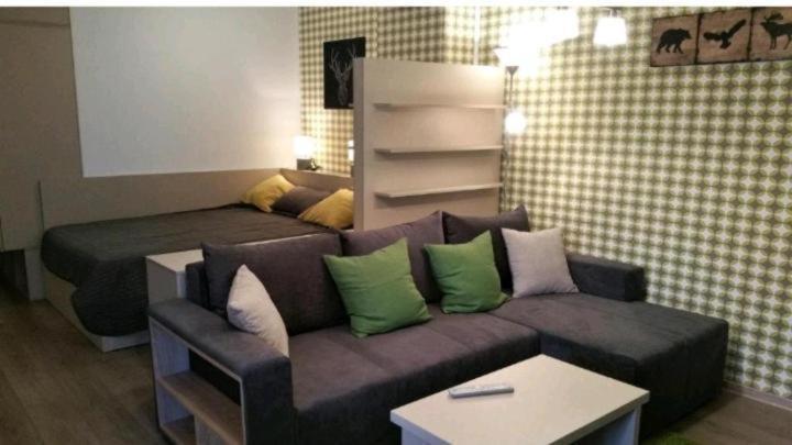 Apartament Aosta Central Sinaia Apartment ภายนอก รูปภาพ